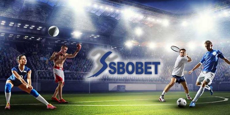 Taktik Judi Bola Raih Kemenangan di Sbobet